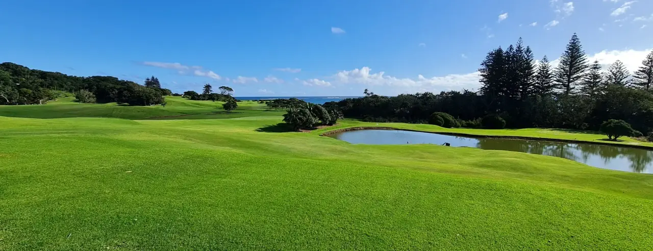 A wide fairway running downhill past a pond to the open ocean, edged with Norfolk pines