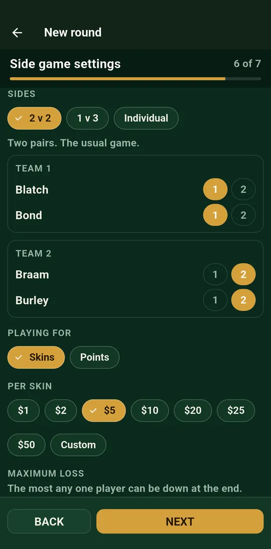 SkinsMate side game settings showing two pairs, playing for skins, at five dollars a skin